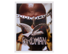 Birdman_copy_medium.png?v=